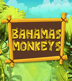 Bahamas Monkeys