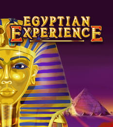 Egyptian Experience
