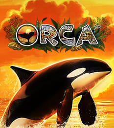 Orca