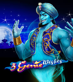 3 Genie Wishes