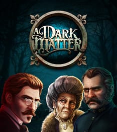 A Dark Matter