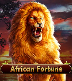 African Fortune