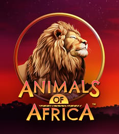 Animals of Africa