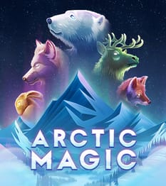 Arctic Magic