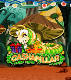 Cashapillar