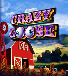 Crazy Goose