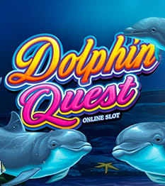 Dolphin Quest