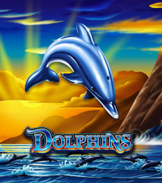 Dolphins
