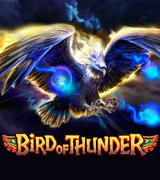 Bird of Thunder