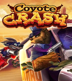 Coyote Crash