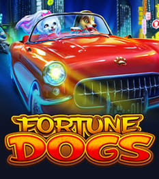 Fortune Dogs