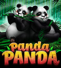 Panda Panda