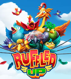 Ruffled Up