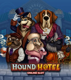 Hound Hotel