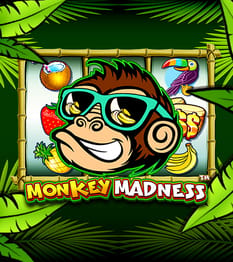 Monkey Madness