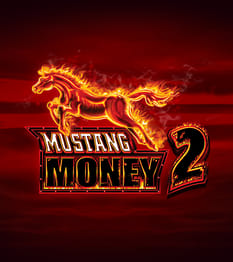 Mustang Money 2