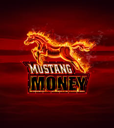 Mustang Money