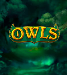 Owls