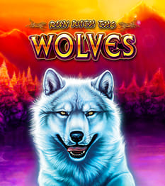Run With The Wolves