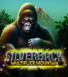 Silverback Multiplier Mountain