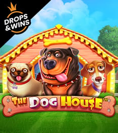 The Dog House