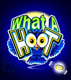 What a Hoot