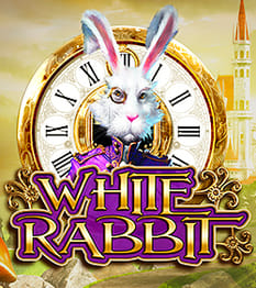 White Rabbit