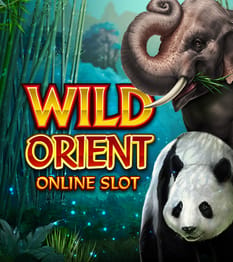 Wild Orient