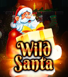 Wild Santa