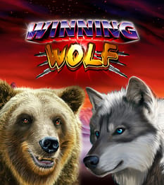 Winning Wolf