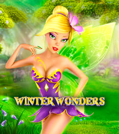 Winter Wonders