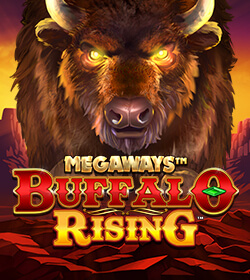 Buffalo Rising Megaways