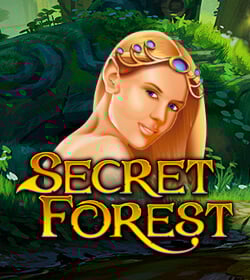 Secret Forest
