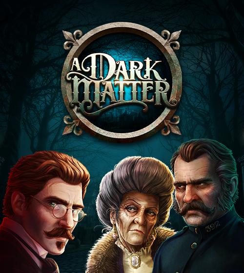 A Dark Matter