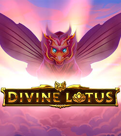 Divine Lotus