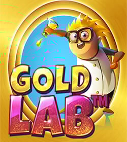 Gold Lab