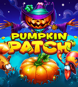 Pumpkin Patch