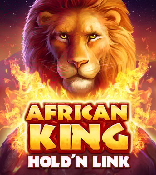 African King Hold'N'Link