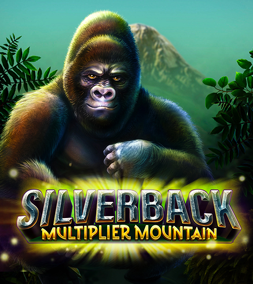Silverback Multiplier Mountain