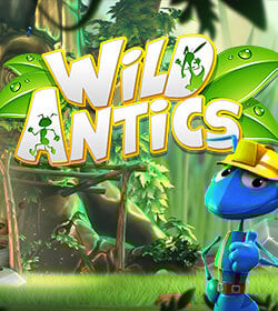 Wild Antics